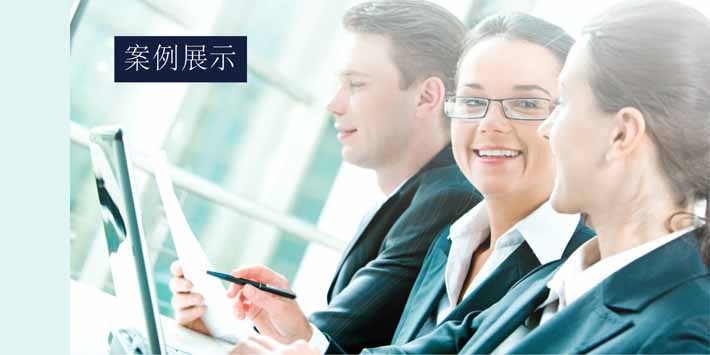 成功案例